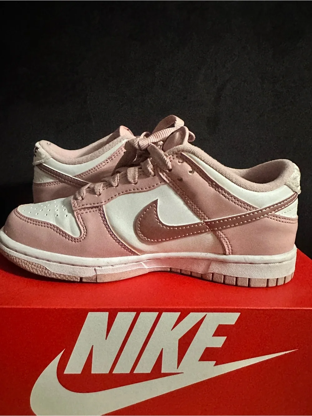Nike youth low